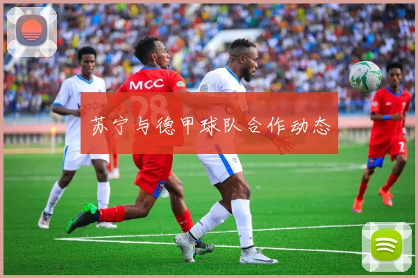 苏宁与德甲球队合作动态