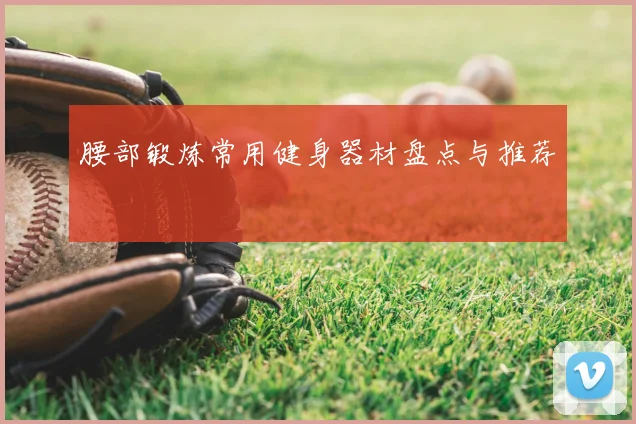 腰部锻炼常用健身器材盘点与推荐